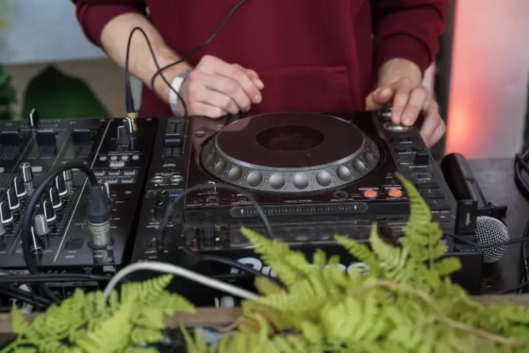 A person in a red sweatshirt operates a DJ mixer and turntable, blending tracks like a Boston Band, with green ferns visible in the foreground—perfect for setting the tone at any wedding music celebration.